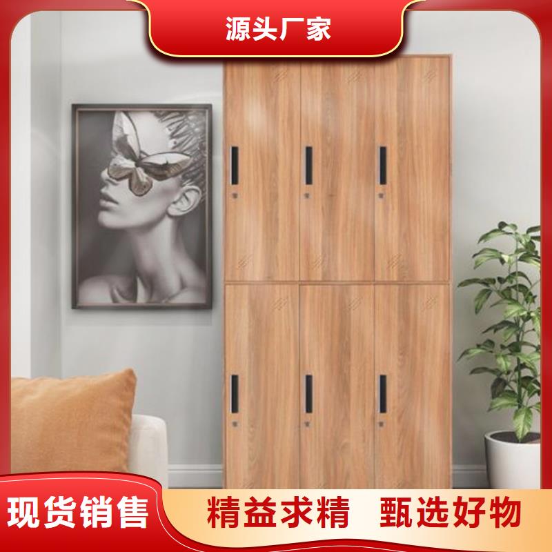 微山六门铁皮柜定制