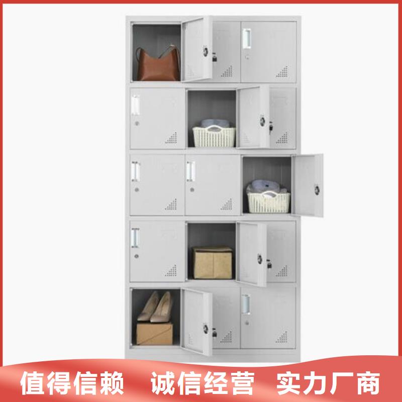 莱城铁皮文件柜定做