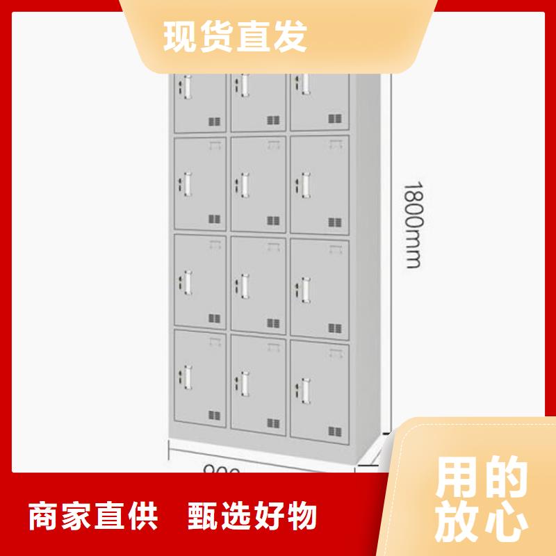 郯城两门铁皮柜厂家发货