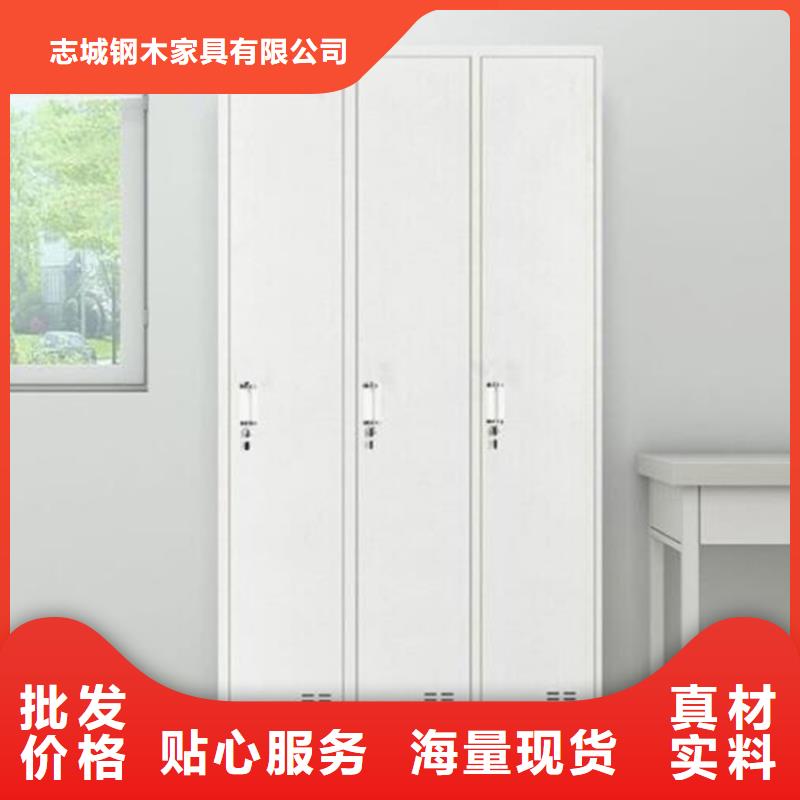 邹城两门铁皮柜生产厂家