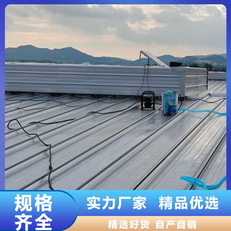 屋面通风器通风气楼生产商