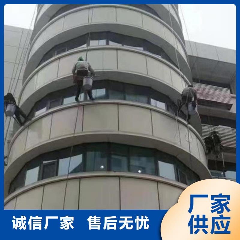 外墙清洗_绿化管理性价比高