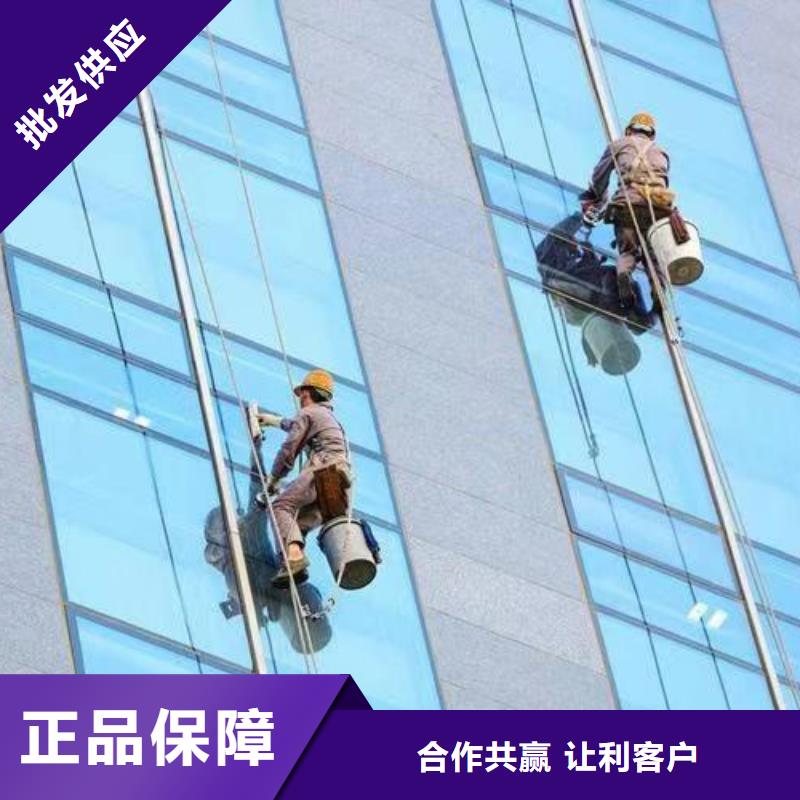 外墙清洗害虫防治精工细致打造