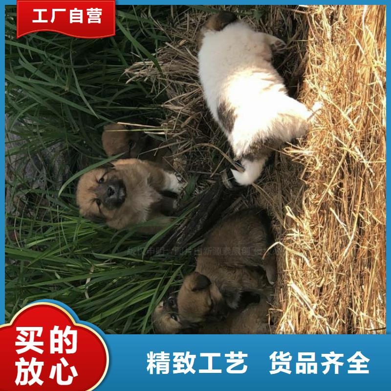 氢化无醇燃油勾兑