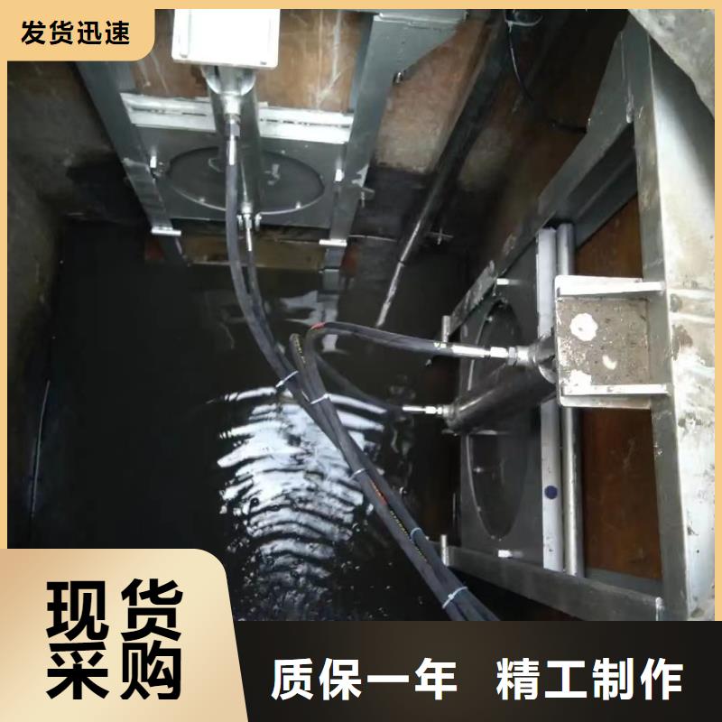 贵州质量安全可靠《瑞鑫》七星关区一体化泵站截流闸门