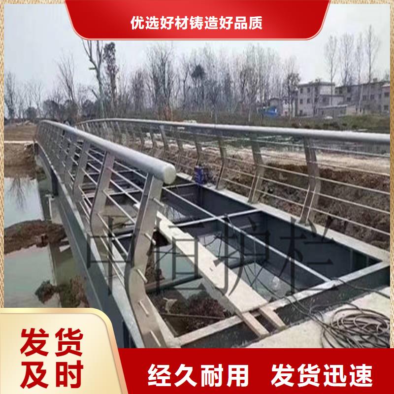 洛龙河堤两侧护栏厂家