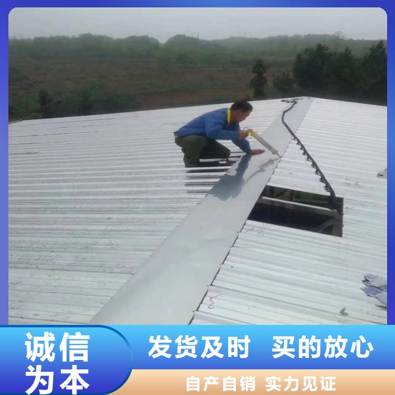 大桥不锈钢防撞栏杆