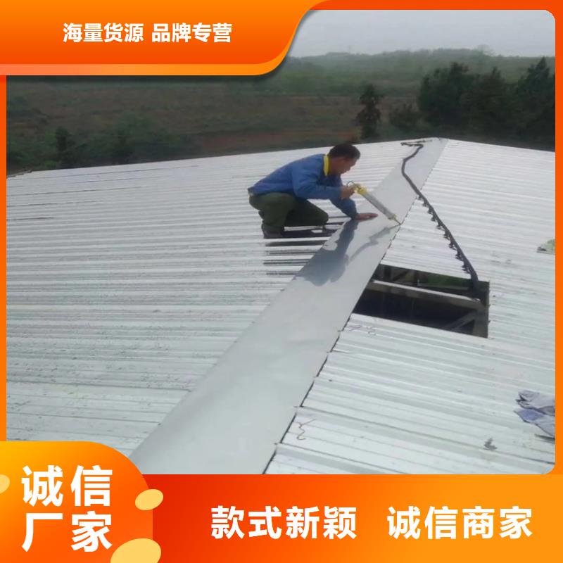 大桥不锈钢防撞栏杆