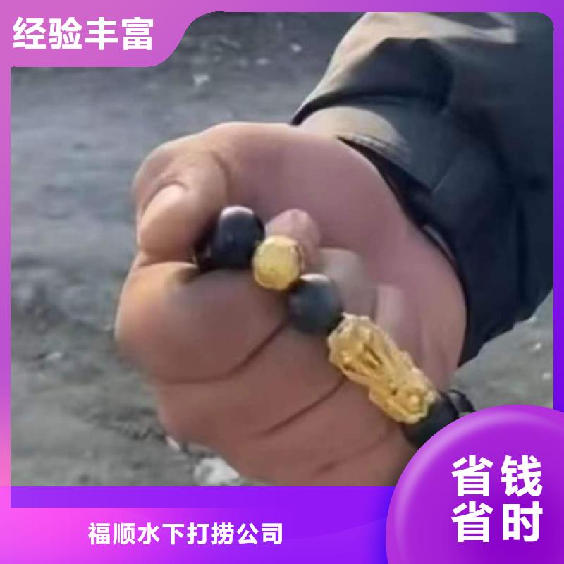 武隆


水下打捞溺水者安全快捷


