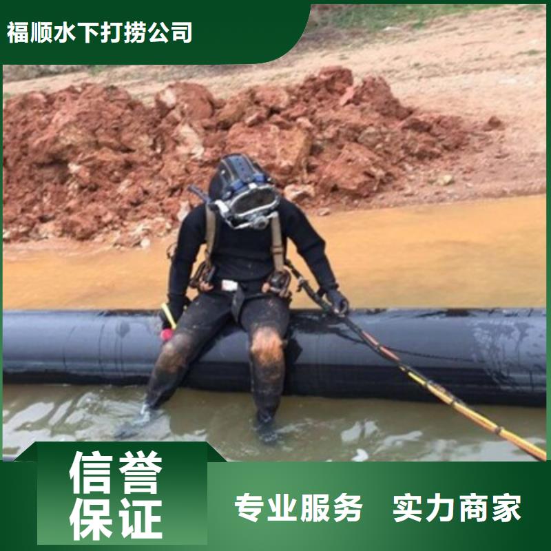 汉源水下打捞尸体推荐厂家