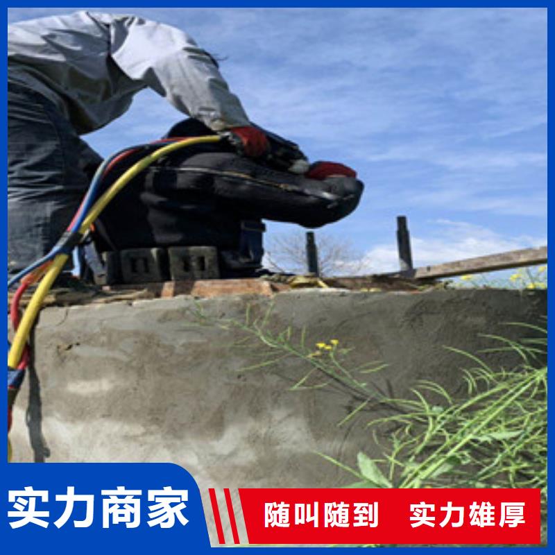水下管道封堵气囊安装公司价低同行