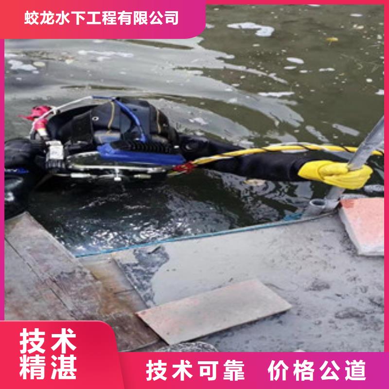 【潜水员水下拍照】_价格_厂家