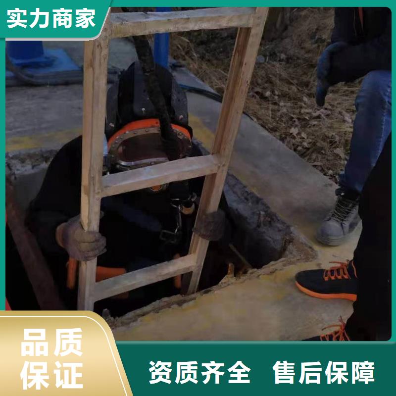 支持定制的潜水员水中清理方法供货商