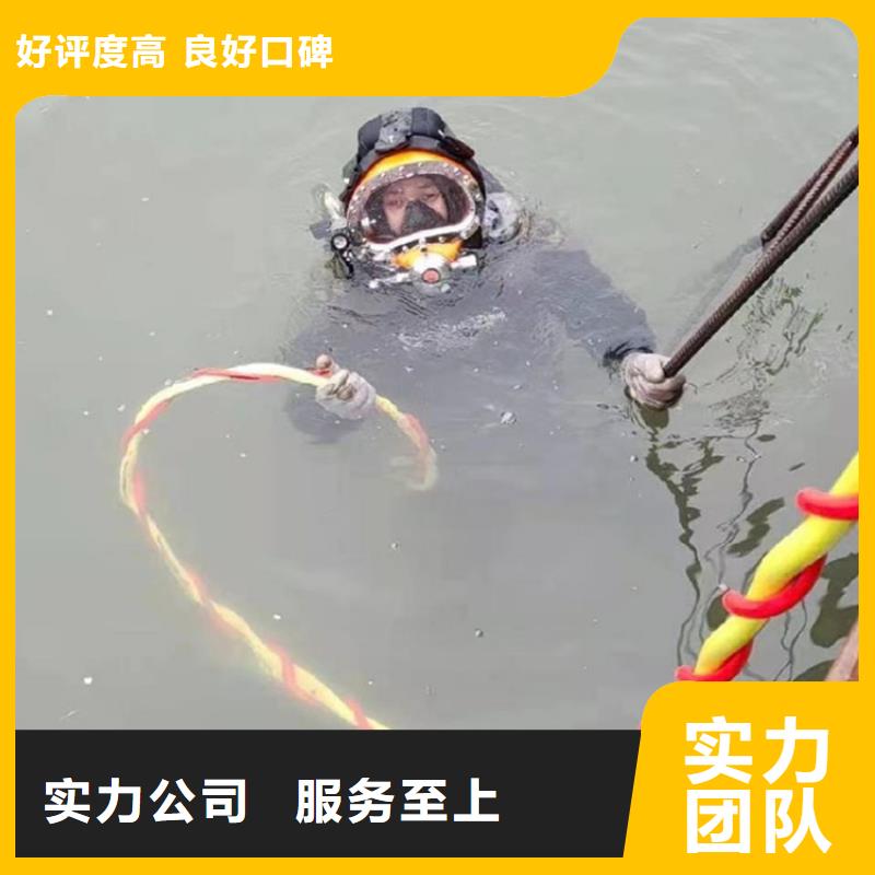 支持定制的潜水员水中清理方法供货商