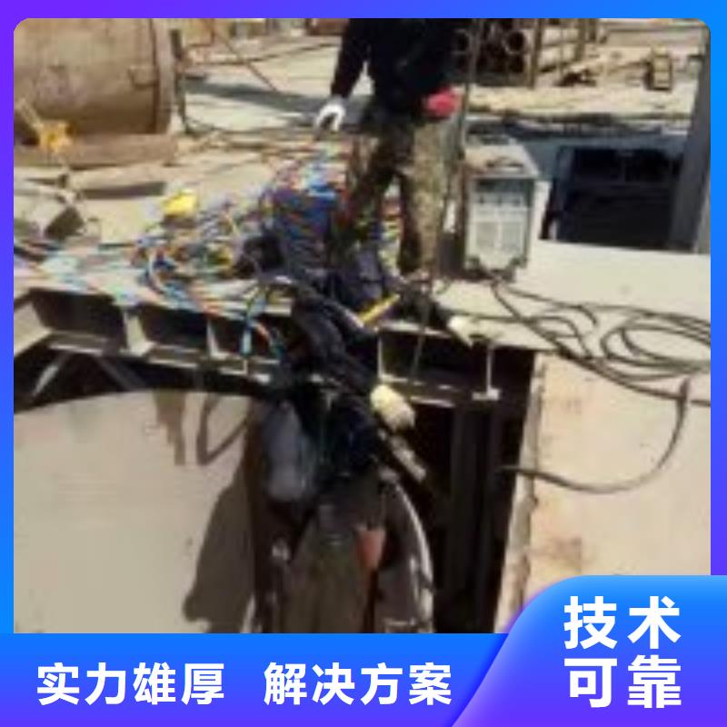潜水员水下摄影本地供应商