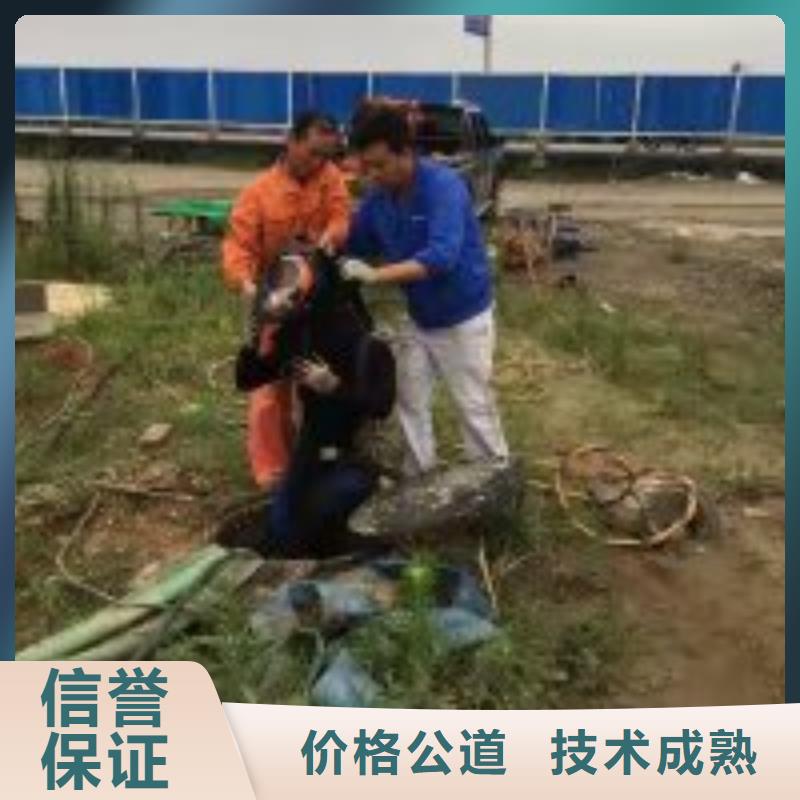 支持定制的潜水员水中清理方法供货商
