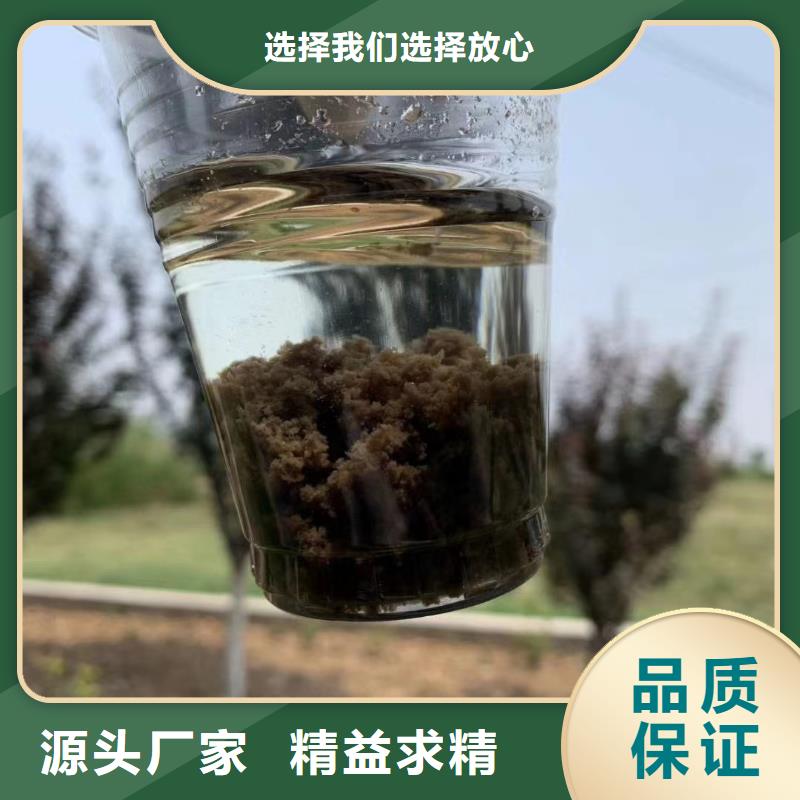 厌氧菌/好氧菌