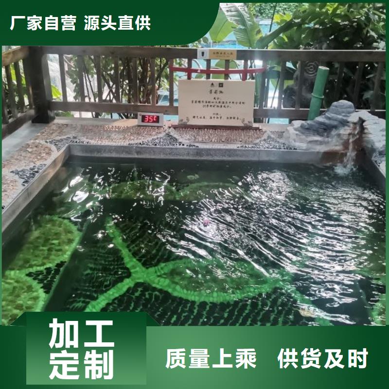 半标泳池介质再生过滤器