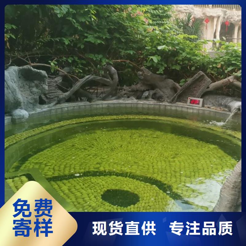 
介质再生过滤器
国标泳池
厂家
