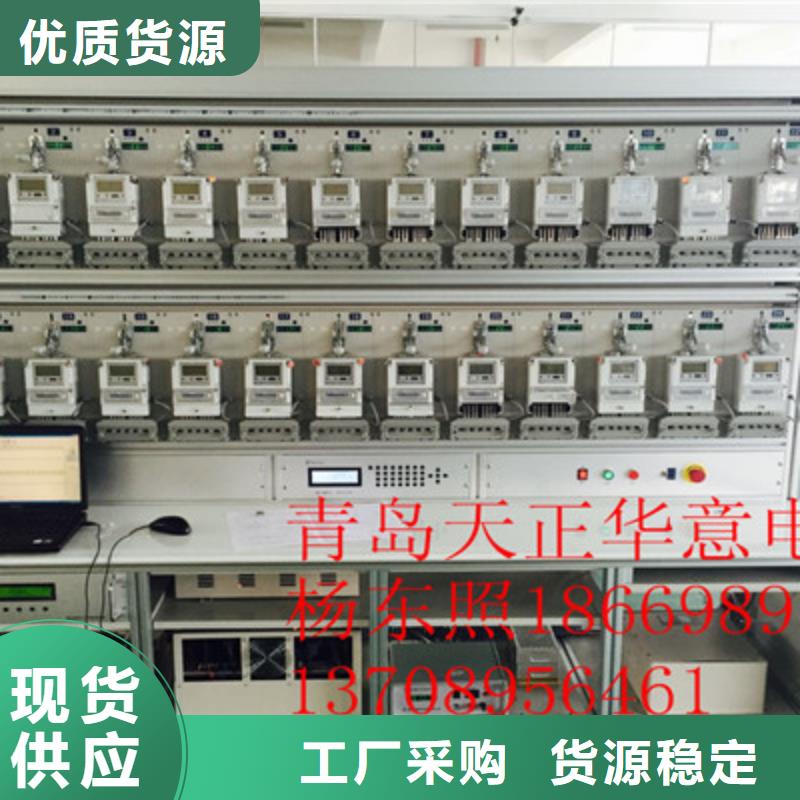 掌上式三相电能表现场校验仪
