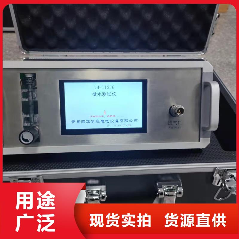 现货供应SF6气体纯度分析仪_品牌厂家