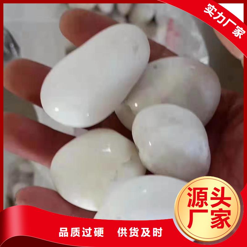 氨氮去除剂公司