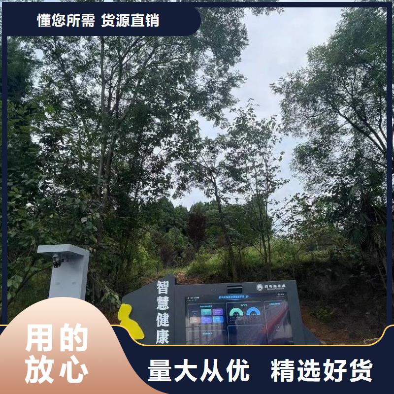 智能步道方案厂家（维艾狄尔）