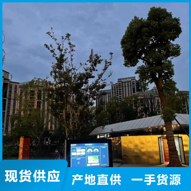 智慧跑道价格（维艾狄尔）