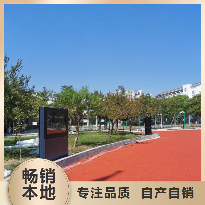 公园智慧跑道厂家（维艾狄尔）