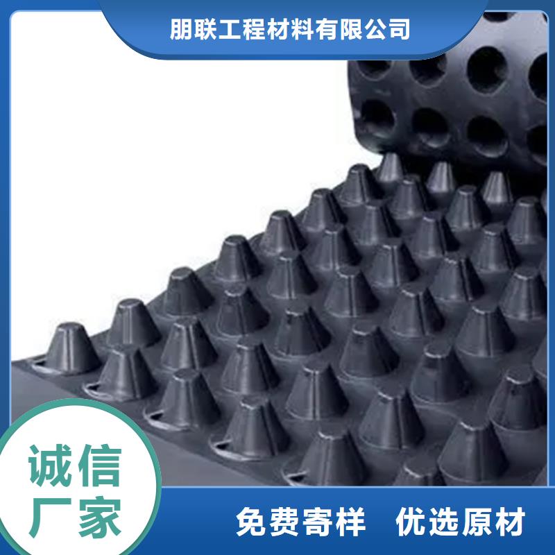 蓄排水板-高分子排水异形片公司