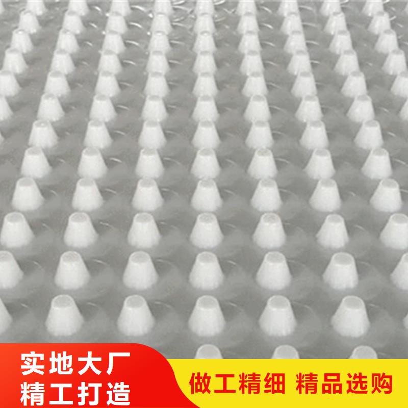 塑料排水板本地厂家