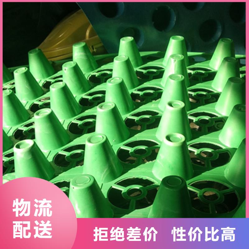 排水板批发-行情价