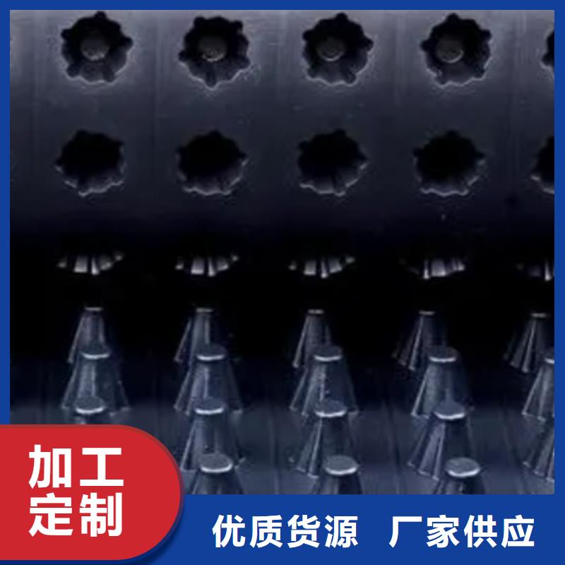 排水板水泥化粪池性价比高