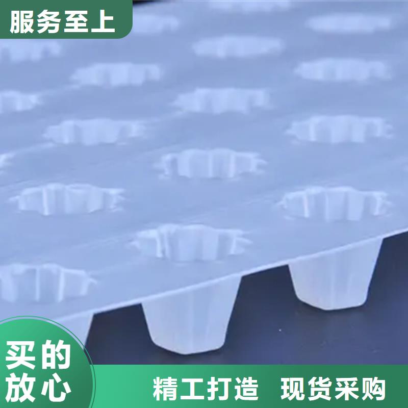 塑料排水板工厂价