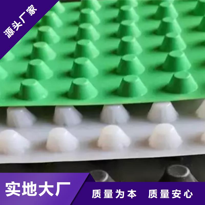 塑料排水板厂家供应排水