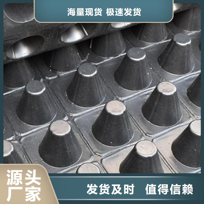 排水板水泥化粪池大库存无缺货危机