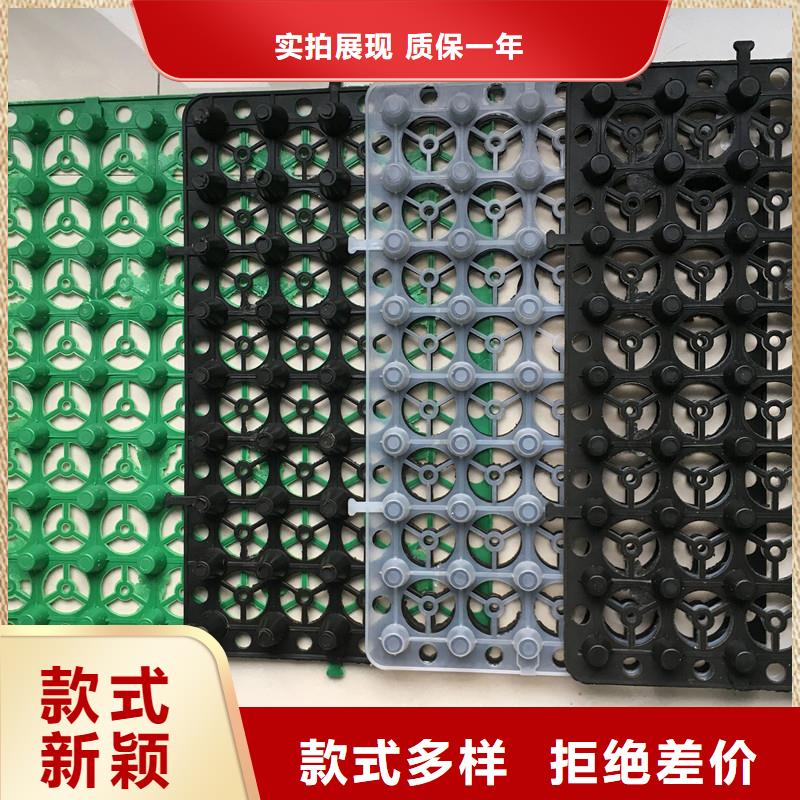 车库排水板价格