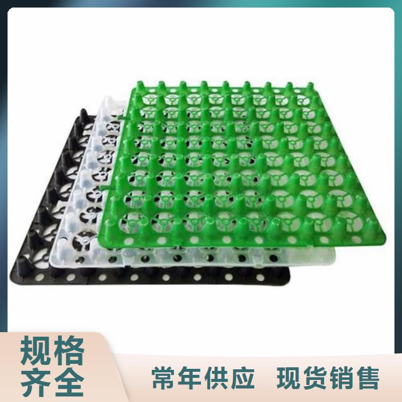 蓄排水板价格-2025更新