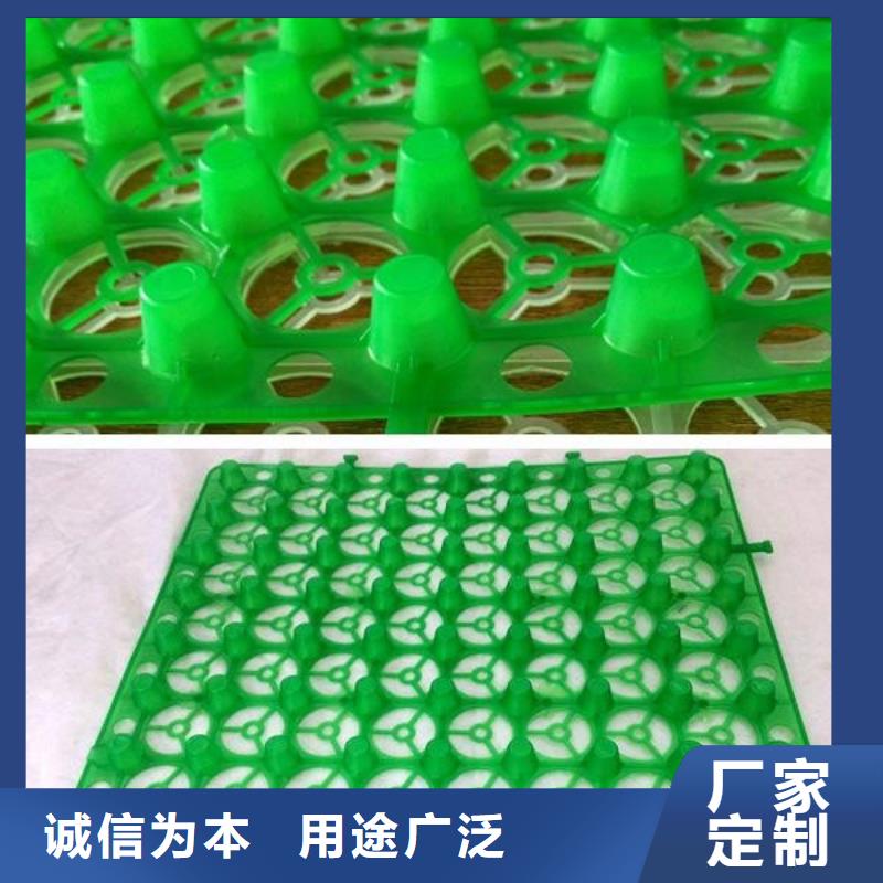 排水板-高分子排水异形片公司