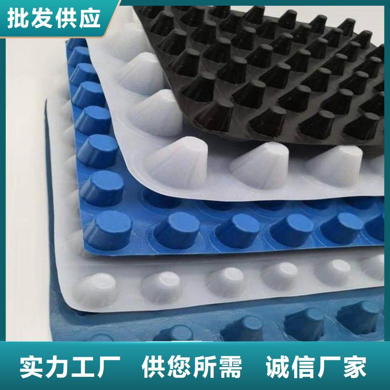 排水板实体厂家