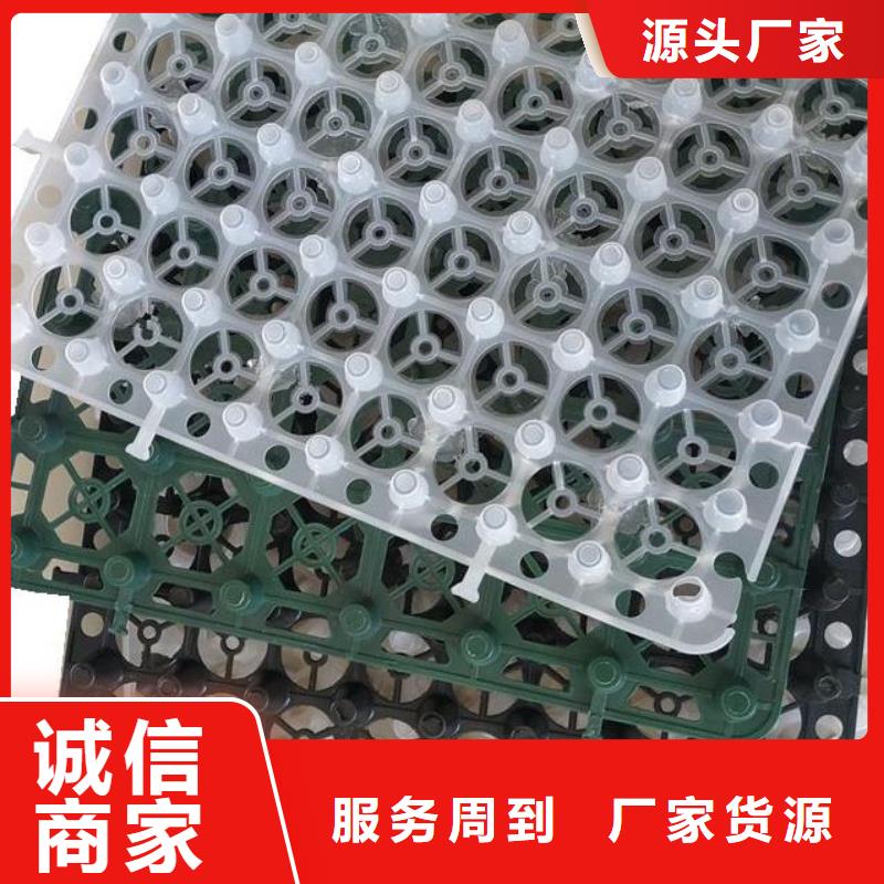 排水板水泥化粪池性价比高