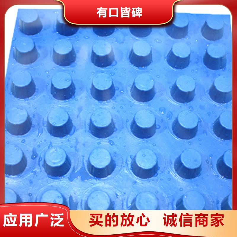 蓄排水板*生产厂家