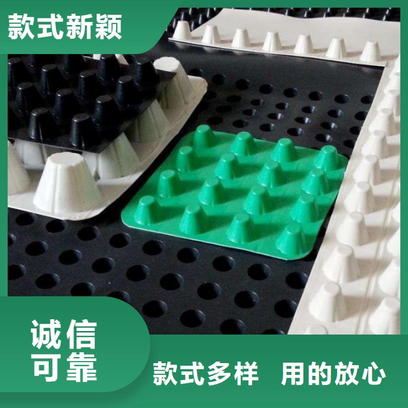 塑料排水板实力厂家