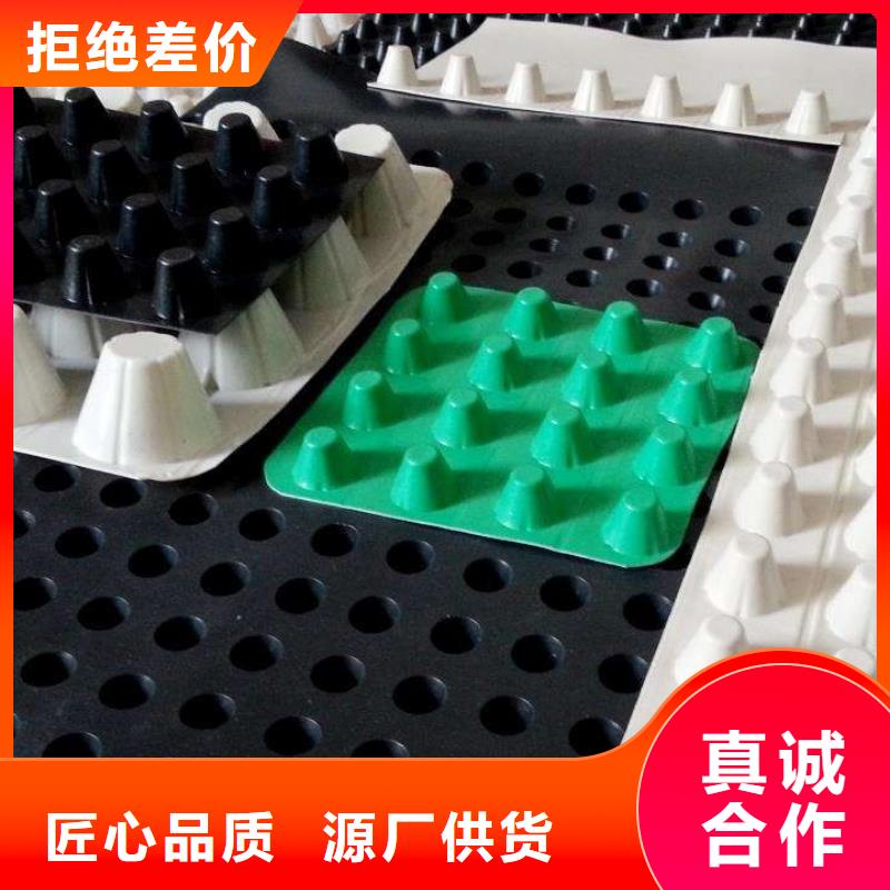 排水板水泥化粪池性价比高