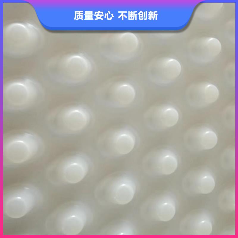 蓄排水板价格/欢迎咨询