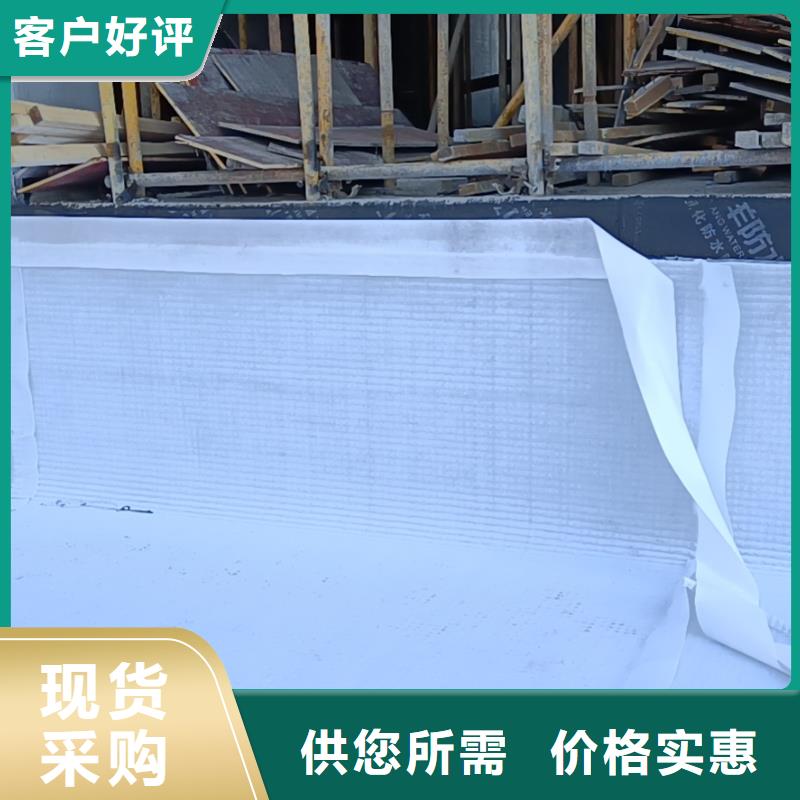 防护虹吸排水收集系统价格