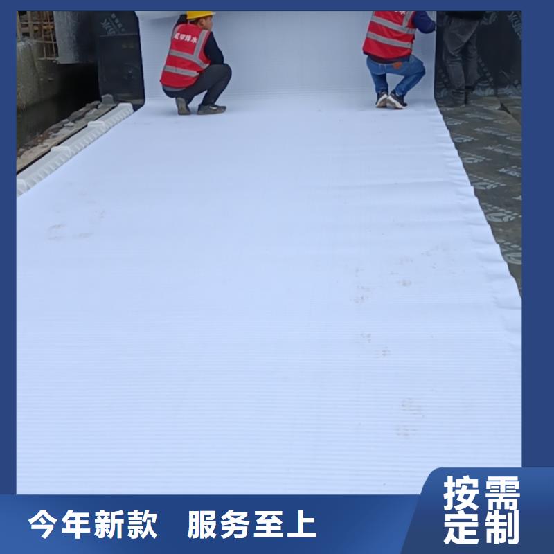 防护虹吸排水收集系统型号全