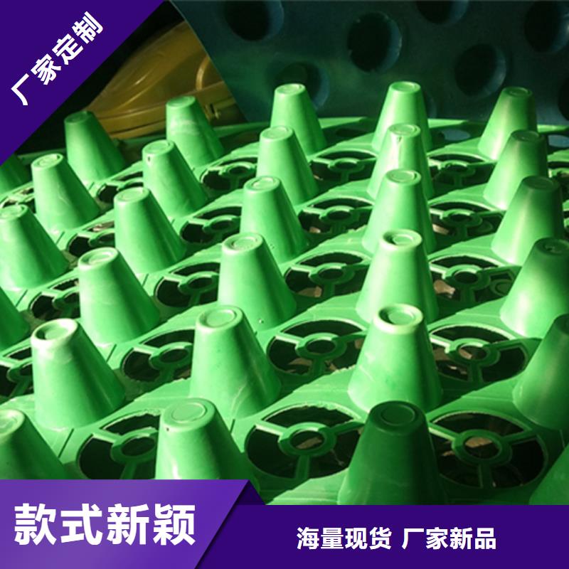 虹吸排水植草格以质量求生存