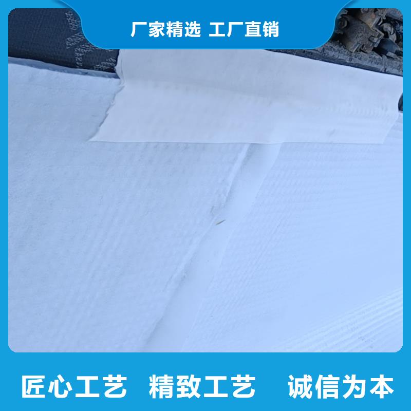 防护虹吸排水收集系统直供厂家