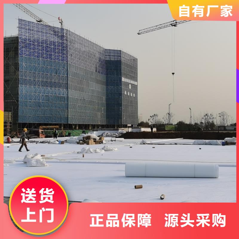 虹吸排水,植草格实力大厂家